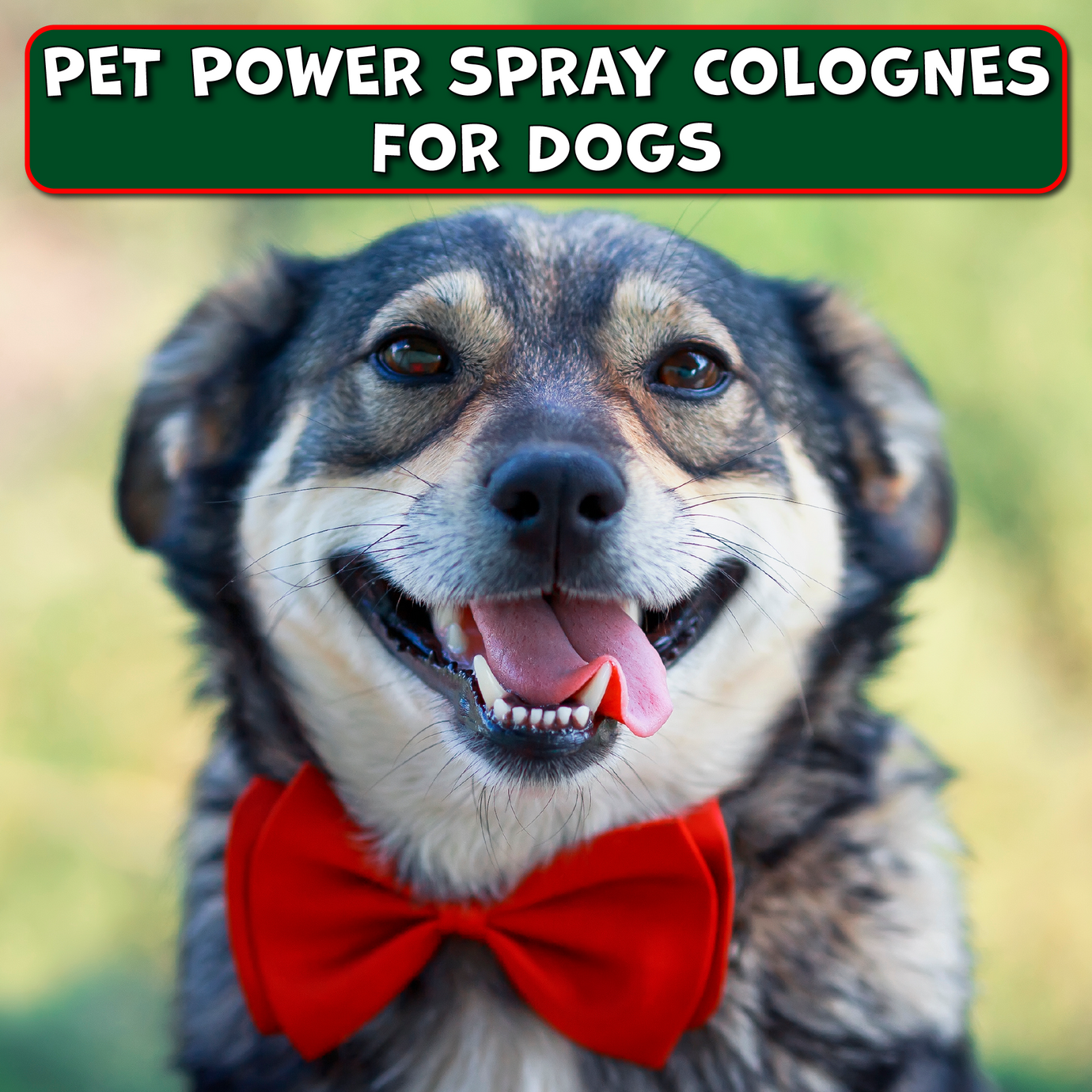 Pet Power Spray Colognes